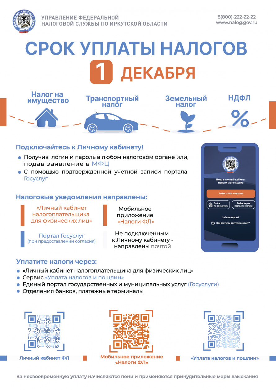 Срок уплаты налогов - 1 декабря!